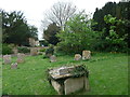 St Giles, Tetsworth: churchyard (6)