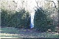 SU6362 : Loo in the Hedge by Bill Nicholls