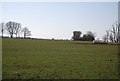 Grazing land by Mundy Bois Rd