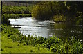 Sun glistening on the River Kennet, Stitchcombe, Wiltshire