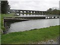 V9935 : Footbridge and Viaduct by kevin higgins
