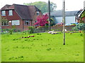 SU6947 : View across field to house in Upton Grey by Shazz