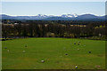 View Towards the Cairngorm Mountains