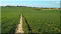 Public footpath near Sunderland