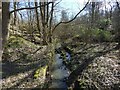 The Blacksey Burn