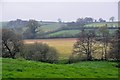 East Devon : Countryside Scenery