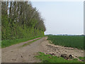 Track on arable field boundary, Layer Breton