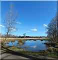 Flooded ground beside the cycle route