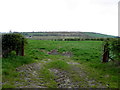 An open field, Ballylennan Scott