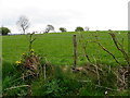 Upper Third Townland