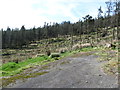 J0424 : Camlough Wood from a bend in the forest road by Eric Jones