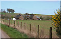 Cottages near Den of Morphie