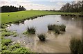 Pool by Westerns Lane