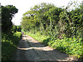 View south along Garden Drove