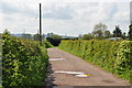 East Devon : Farm Track