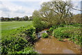 East Devon : River Clyst