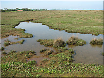 TF9443 : The salt marshes by Warham Greens by Evelyn Simak