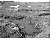 TF9443 : Salt marshes by Warham Greens by Evelyn Simak