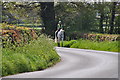 East Devon : Country Road & Horse