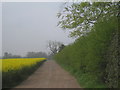 Bridleway to Langold