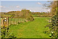 SY0096 : East Devon : Grassy Field by Lewis Clarke