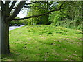 The Green at Farnborough Common