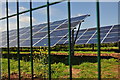 East Devon : Solar Panel Farm