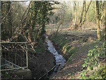 SP0364 : The Wharrage brook at Walkwood Road, Walkwood, Redditch by Robin Stott
