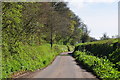 Westwood : Country Lane