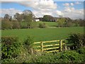 Stainley Beck valley at Wormald Green