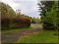 TQ0619 : Driveway at Broomers Hill Lodge by David960