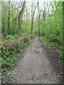 The London LOOP in Darrick Wood