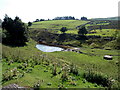 Pipeline and pond below Trefil Road, Trefil