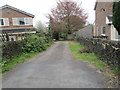 Bridleway - Steeplands