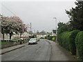 Elder Road - looking towards Woodman Avenue