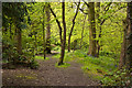 A path through Blashaw Wood