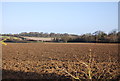 Ploughed field