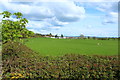 Farmland at Kilncroft