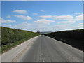 SE8068 : Langton  Road  on  top  of  Langton  Wold by Martin Dawes