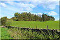 Castle Hill near Dumfries