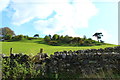 Farmland near South Castlehill