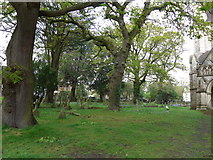 SZ0391 : St Peter, Parkstone: churchyard (5) by Basher Eyre