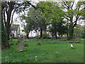 St Peter, Parkstone: churchyard (6)