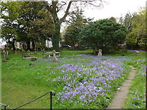 SZ0391 : St Peter, Parkstone: churchyard (8) by Basher Eyre