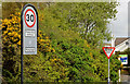J4067 : Speed limit sign, Moneyreagh by Albert Bridge