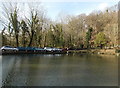 Pondside parking area in Gnoll Estate Country Park, Neath 