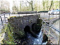 Pond overflow at Gnoll Estate Country Park, Neath