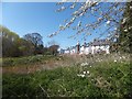 New houses off Topsham Road, Exeter