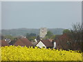 Beccles from the Bridle Path nr Chenery