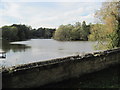 Lake  at  Welham  Park